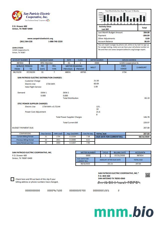USA Texas San Patricio Electric Corporative rachunek za media szablon w formacie Word i PDF